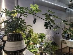 -靳晖金百合花艺GOLDENLILY(南院门店)
