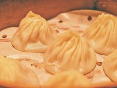 鲜肉小笼-苏小柳手工点心(人民广场分院)