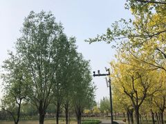 -东郊湿地公园
