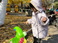 -长白岛森林公园