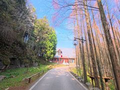 -山王坪喀斯特国家生态公园