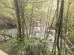 -花水湾第一村温泉大酒店