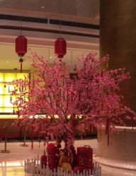 -上海浦东华美达大酒店·宴会厅