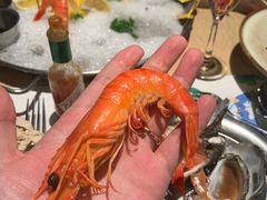 -囧吉香生蚝牛排馆(湖北路店)