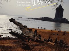 -八大关景区