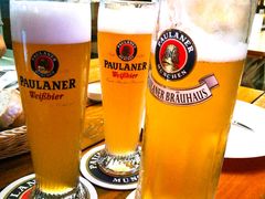 鲜啤-Paulaner·德国帕拉娜自酿啤酒餐厅(海上世界店)