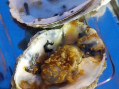 android_upload_pic-天津乾毓德饭庄·清真传统炒菜·海鲜烧烤(咸阳路店)