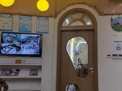 -嘉定民办实蒙早教中心