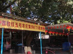 -荔枝红五号农庄