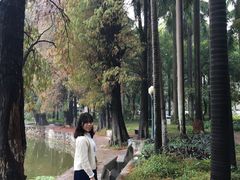 -中山大学学者灵芝(园南路店)