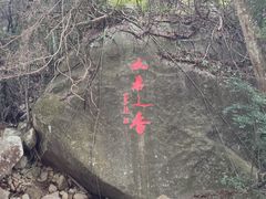 -海南霸王岭国家森林公园