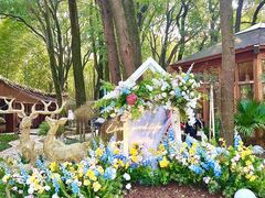-同里国家湿地公园