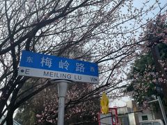 -南京市溧水区傅家边梅花山弄山庄