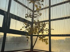 -沸奇公园·情景团建·年会露营烧烤轰趴生日(科技园店)