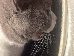 -瑞派福兴宠物医院犬猫全科·骨科·中西医结合(河东店)