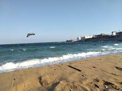 -小巴塞罗那海滩
