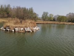 -西海子公园