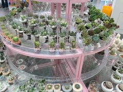 -KKV(深圳宏发大仟里店)