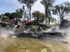 -东莞植物园