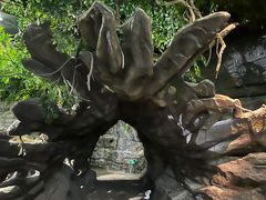 -江和美海洋公园