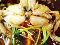 -鸿顺老铁锅美蛙鱼府(解放碑店)