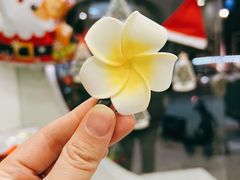 -曼僖瓦罐咖啡(华山南路店)