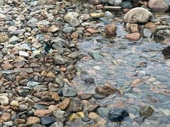 -本溪老边沟风景区