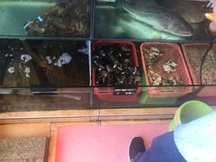 -渔中舟海鲜大排档(普陀沈家门店)