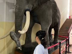 -国家自然博物馆