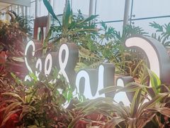 -Seesaw Coffee(朝阳大悦城店)