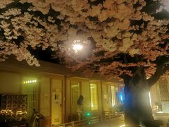 -蓝鲸湾汤泉(包河店)