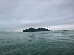 -海驴岛(荣成市)