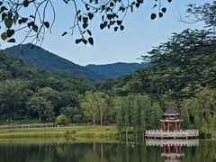 -国恩寺