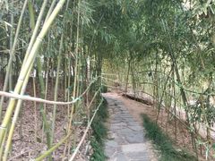 -竹子庵公园