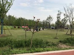 -上海长兴岛郊野公园