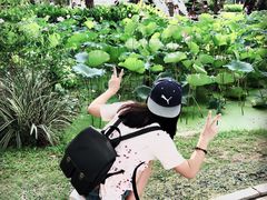 -惠州西湖丰渚园
