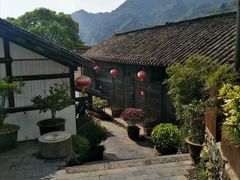 -后柳水乡