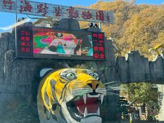 -栾川竹海野生动物园