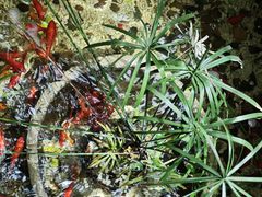 -锦上中式酒馆(南内环店)