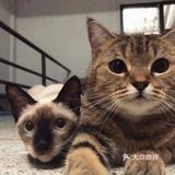 六一带娃👶必去胜地&萌宠乐园🐖