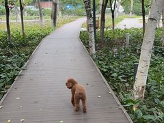 -宠颐生动物医院·心脏科·保险定点(锦阳分院)