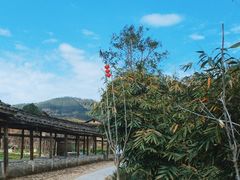 -云水谣景区