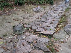 -冶父山国家森林公园