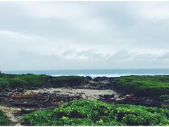 -龙坑生态保护区