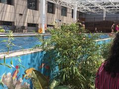 -盛彼得温泉度假酒店
