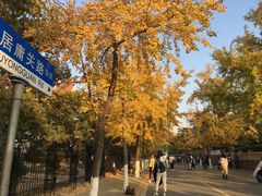 -八大关景区