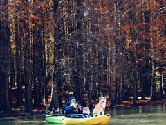 -上海海湾国家森林公园