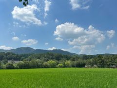 -韶山毛泽东同志故居