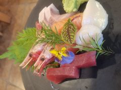 鲜鱼刺身五种-天正河鲀·河豚亭(大连店)