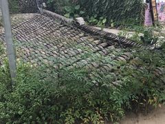 -世纪公园-世纪春沁园